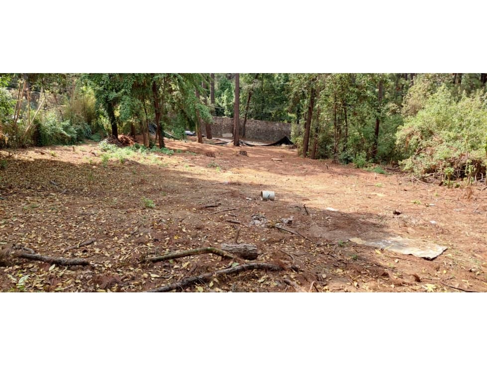 HERMOSO LOTE EN CERRO GORDO — foto 4