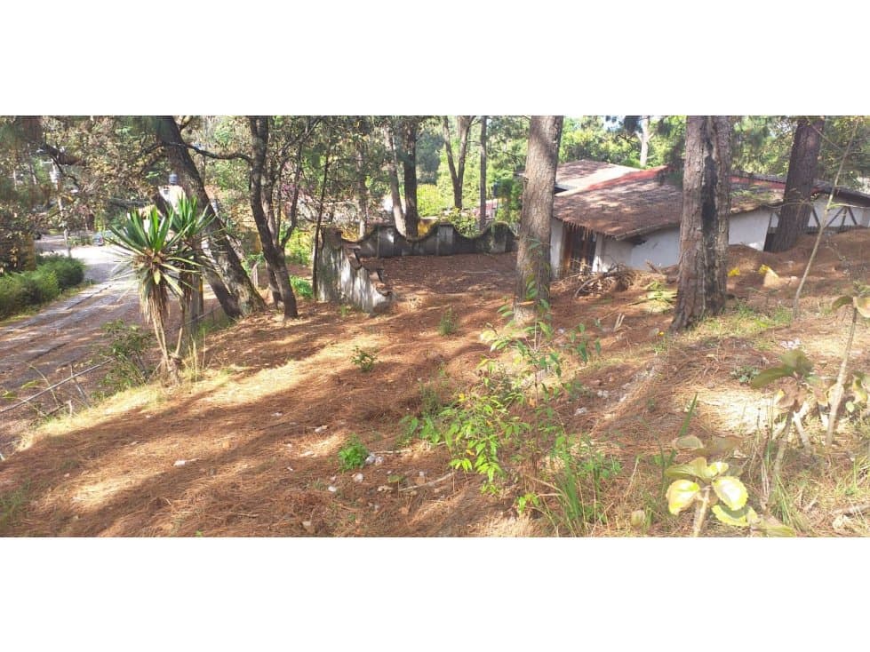 TERRENO EN VENTA EN AVANDARO — foto 4
