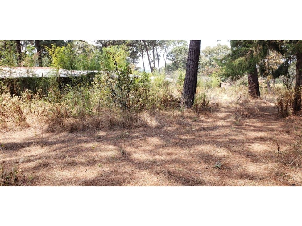 TERRENO EN VENTA EN AVANDARO — foto 3