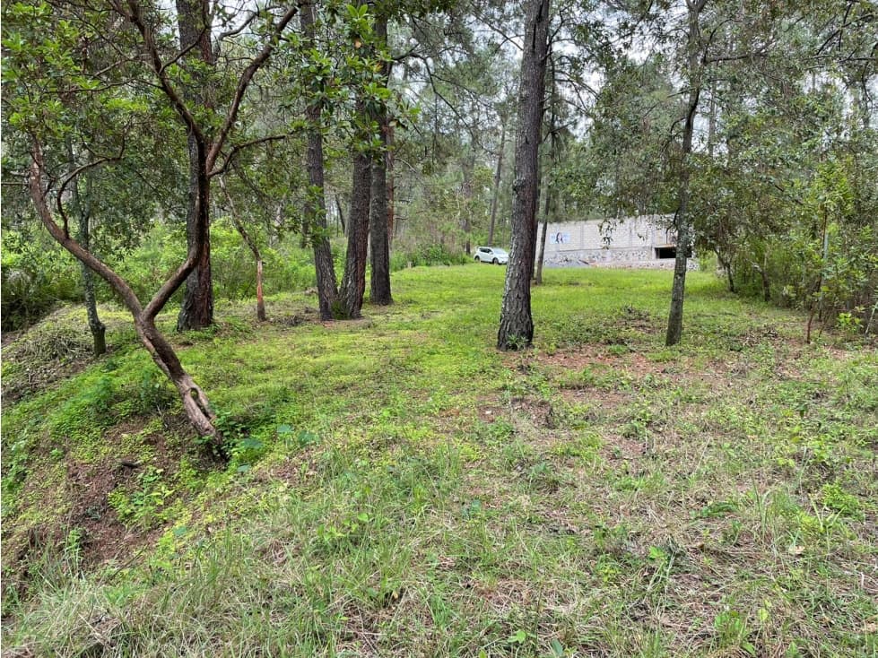 TERRENO EN VENTA, VALLE DE BRAVO — foto 5