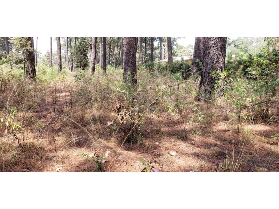 TERRENO EN VENTA EN AVANDARO — foto 6