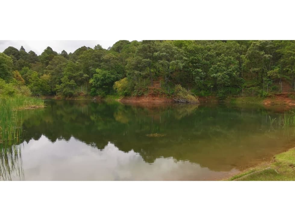 LOTES EN VENTA, VALLE DE BRAVO — foto 5