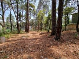 TERRENO DENTRO DEL CLUB DE GOLF AVANDARO
