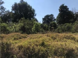 TERRENO HERMOSO A UN COSTADO DE RANCHO AVANDARO