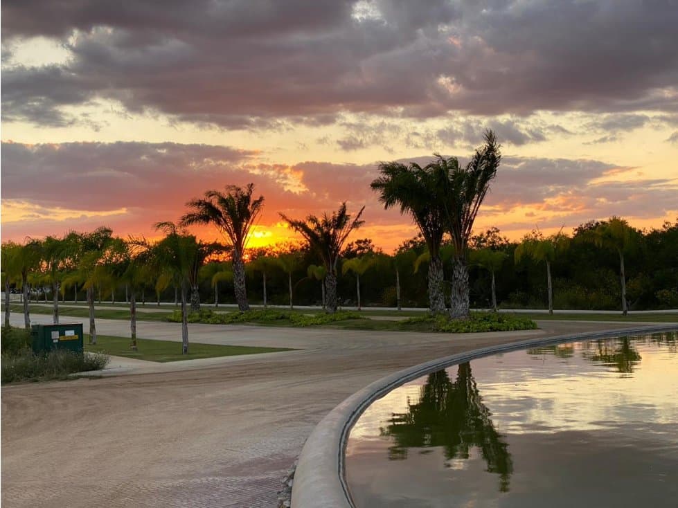 Venta de Lotes Residenciales en la Reserva Yuc — foto 4