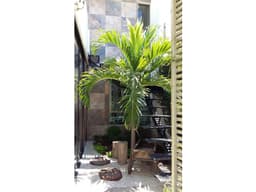 RENTA DEPARTAMENTO EN LAS AMERICAS