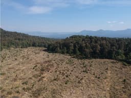 TERRENO PARA RANCHO EN MESA RICA