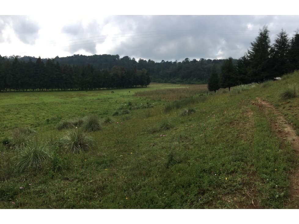 OPORTUNIDAD PARA RANCHO — foto 4
