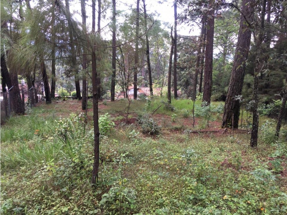 TERRENO EN VALLE PARA CASA DE DESCANSO — foto 4