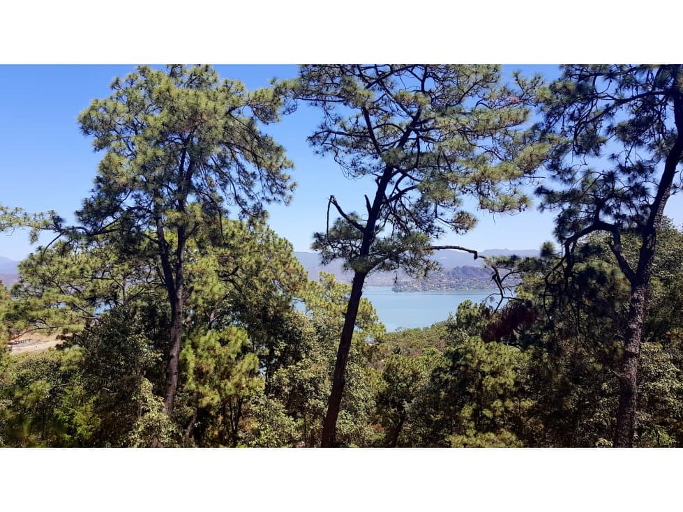 1000 m2 EN EL CERRILLO — foto 1