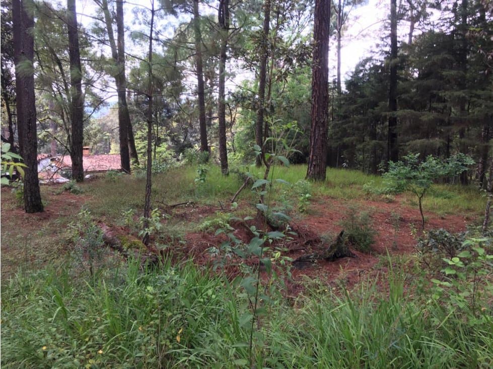TERRENO EN VALLE PARA CASA DE DESCANSO — foto 2