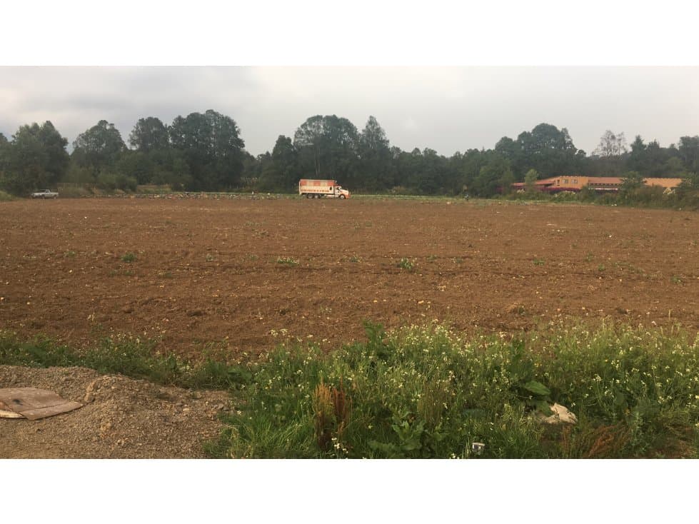 TERRENO COLINDANTE CON RANCHO AVÁNDARO — foto 6