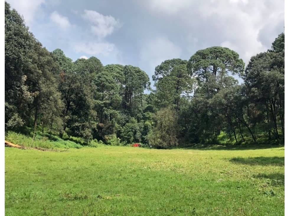 TERRENO CON MANANTIAL EN VALLE DE BRAVO — foto 1