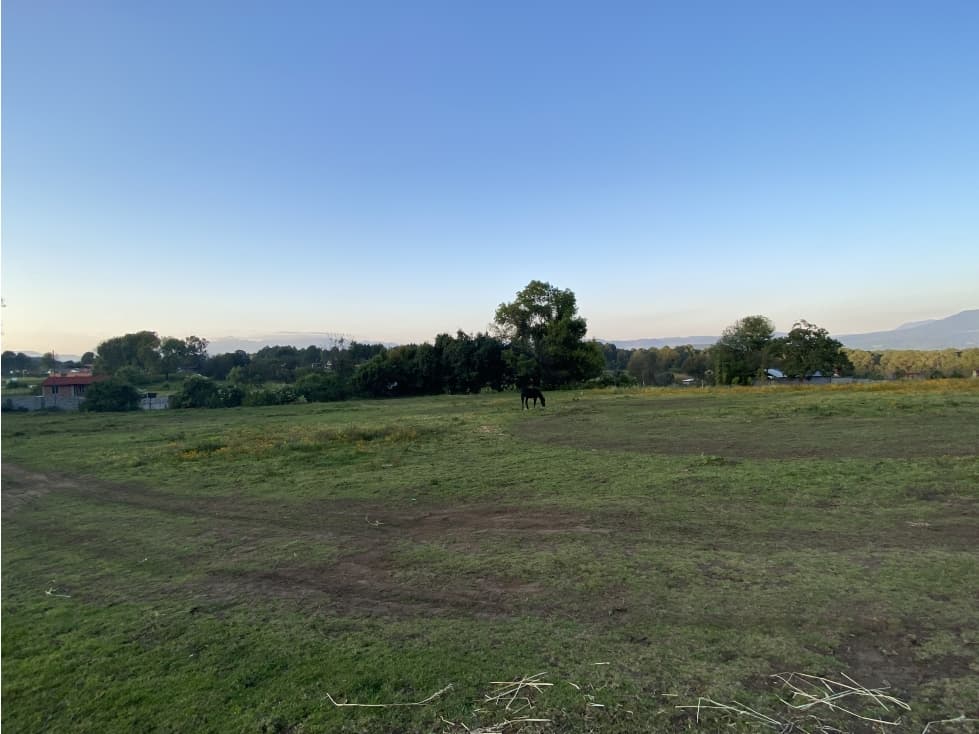 Terreno en cerro Gordo — foto 4