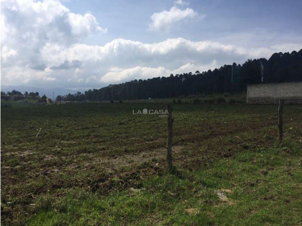 TERRENO EN VENTA EN AMANALCO — foto 1
