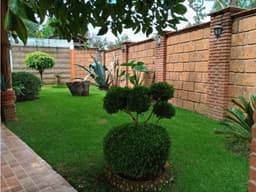CASA EN RENTA POR TEMPORADA CASAS VIEJAS