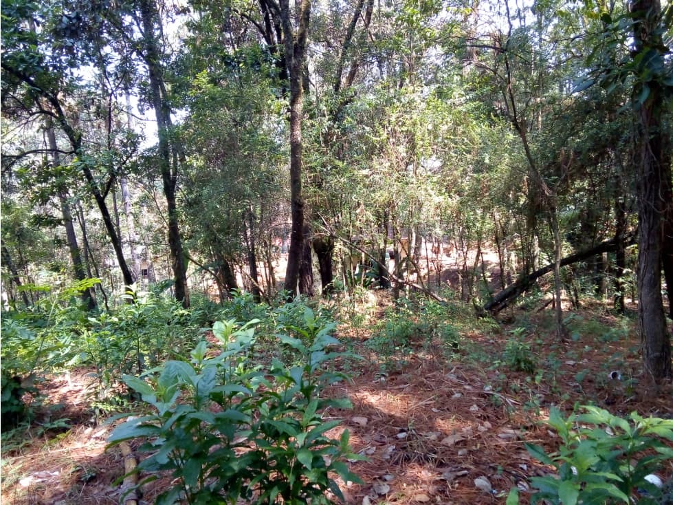 TERRENO AVANDARO — foto 1