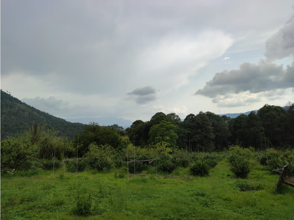 TERRENO EN VENTA, VALLE DE BRAVO, EL AGUACATE — foto 1