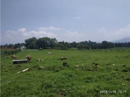 TERRENO EN CERRO GORDO