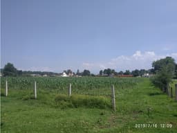 TERRENO EN CERRO GORDO