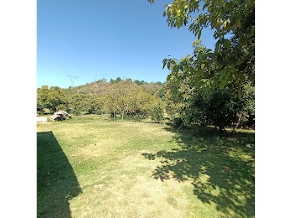 TERRENO CON HUERTO EN PIPIOLTEPEC — foto 1