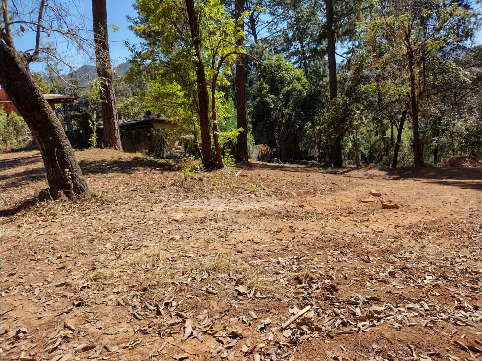 TERRENO AVANDARO — foto 1