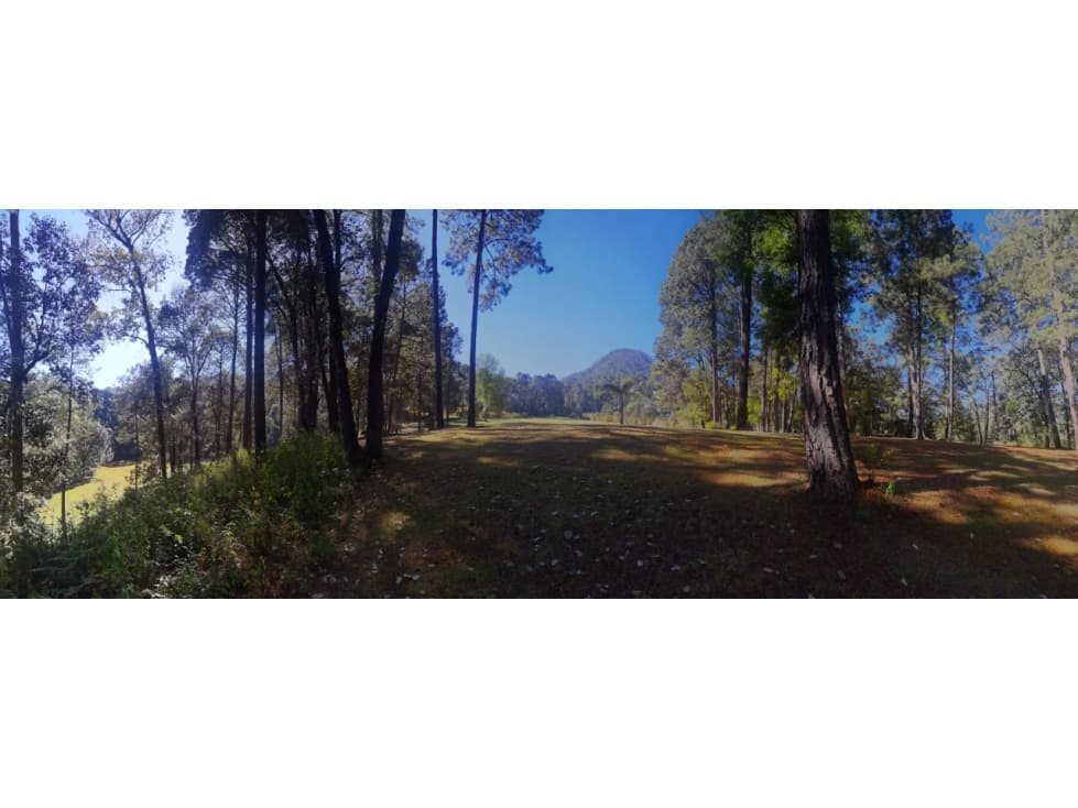 EXCELENTE TERRENO CON ARROYO, ZONA BOSCOSA — foto 1