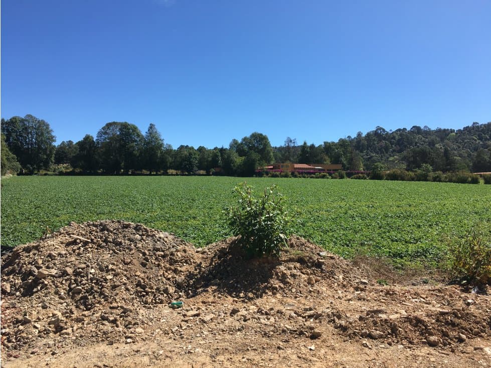 TERRENO COLINDANTE CON RANCHO AVÁNDARO — foto 3
