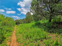 TERRENO BOSCOSO A PRECIO DE OPORTUNIDAD | VALLE DE BRAVO