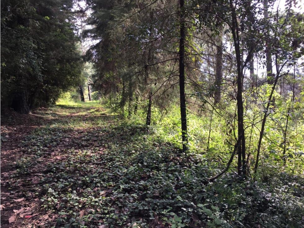 TERRENO EN VALLE PARA CASA DE DESCANSO — foto 5
