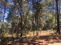 TV LOTE RESIDENCIAL EN CIRCUITO AVÁNDARO (ML)