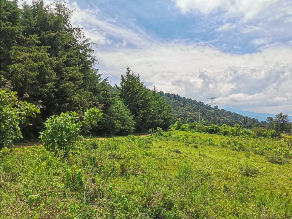 TERRENO DE OPORTUNIDAD | VALLE DE BRAVO — foto 1