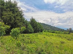 TERRENO DE OPORTUNIDAD | VALLE DE BRAVO