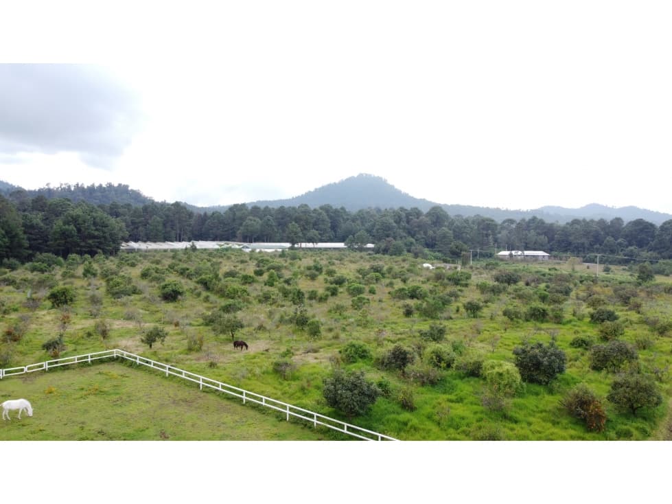 TERRENOS EN VENTA EN GRAN DESARROLLO SUSTENTABLE — foto 3