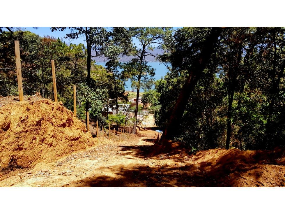 1000 m2 EN EL CERRILLO — foto 4