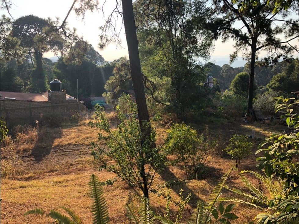 TERRENO PARA DESARROLLAR H-1000 — foto 1