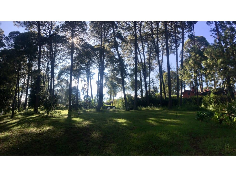 TERRENO BOSCOSO EN EL CENTRO DE AVÁNDARO — foto 2