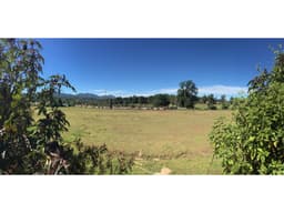 TERRENO PLANO Y CON AGUA EN SAN SIMÓN