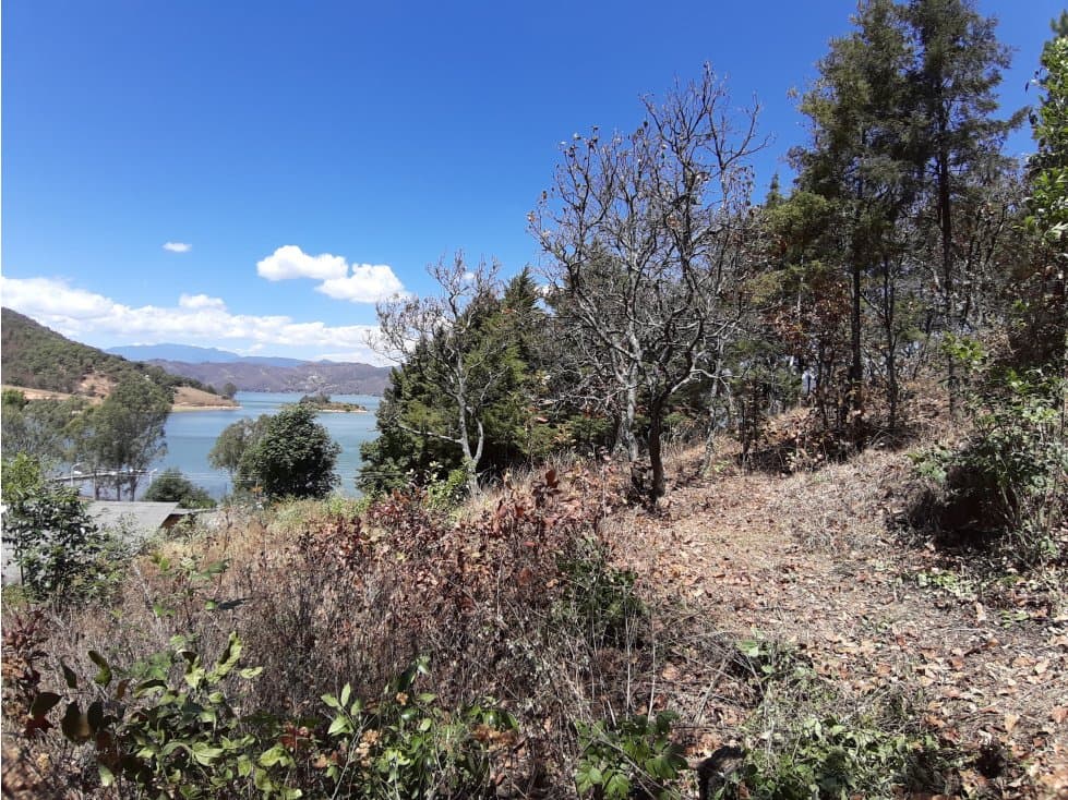 TERRENO PARA PROYECTO EN EL CERRILLO — foto 1