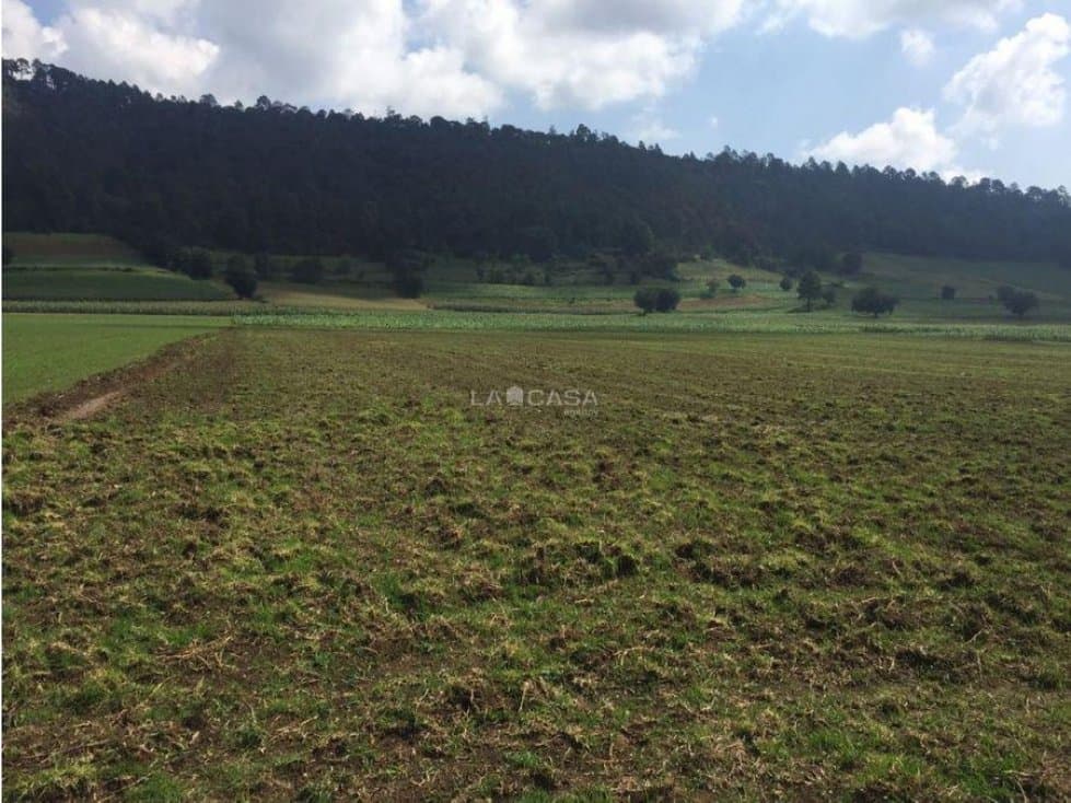 TERRENO EN VENTA EN AMANALCO — foto 2