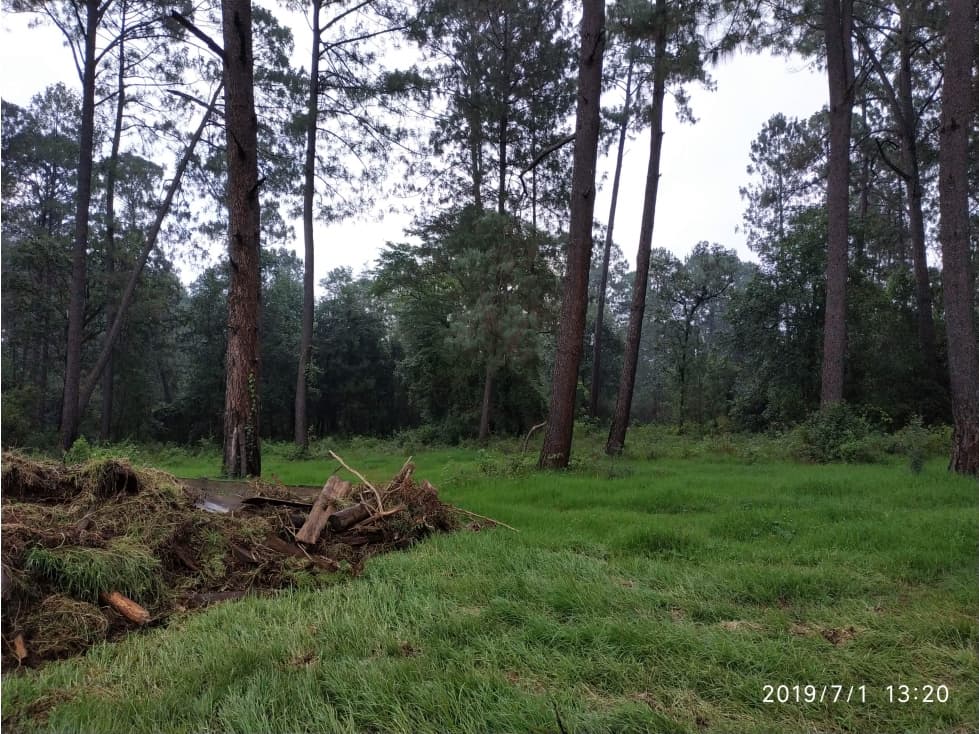 LOTE DE 2000 M2 EN CERRO GORDO — foto 2