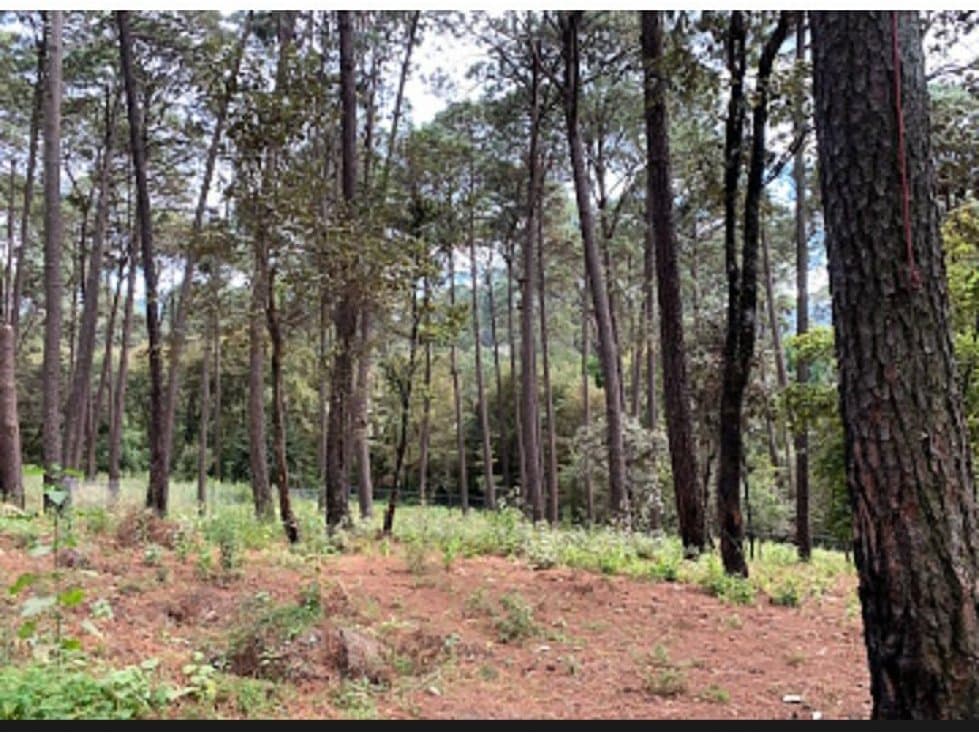 TERRENO AVANDARO — foto 2