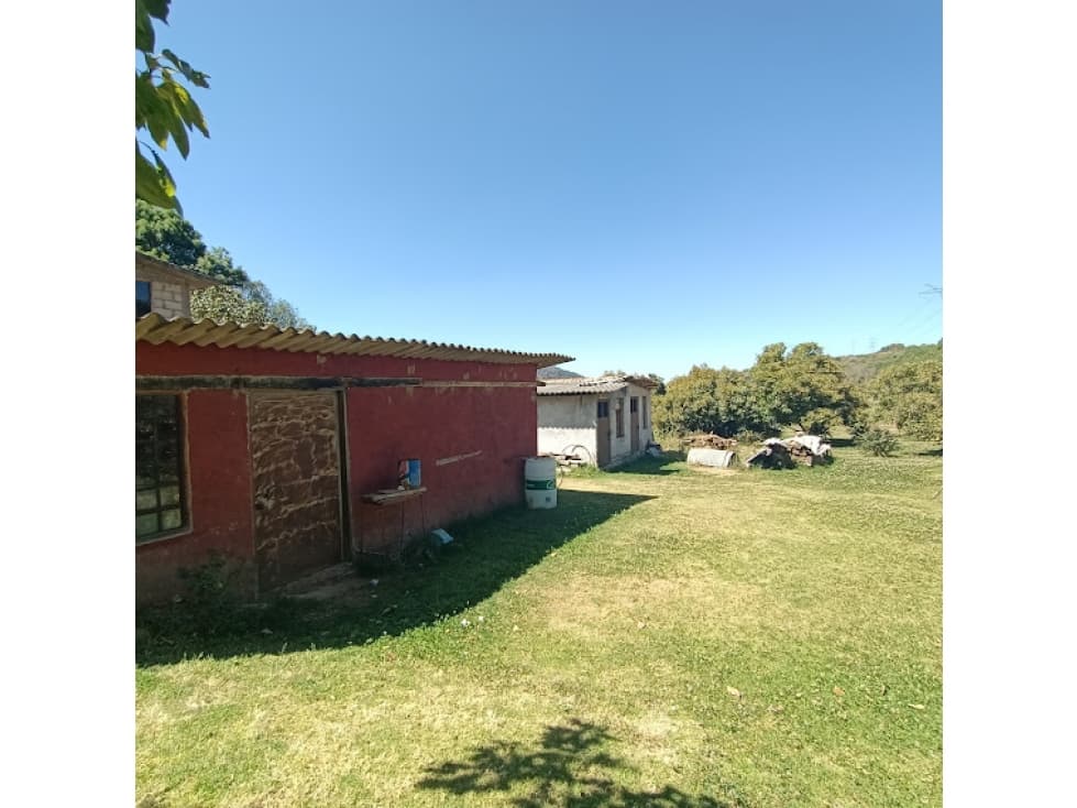 TERRENO CON HUERTO EN PIPIOLTEPEC — foto 2
