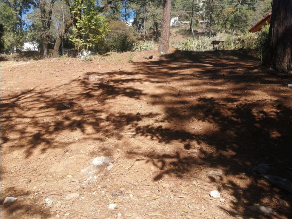TERRENO AVANDARO — foto 2