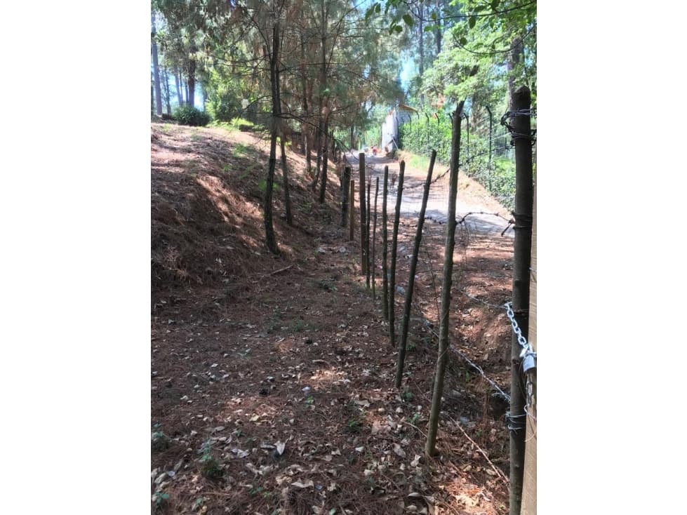 EXCELENTE TERRENO CON ARROYO, ZONA BOSCOSA — foto 2