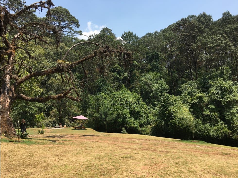 TERRENO CON ESPECTACULAR ENTORNO EN ACATITLÁN — foto 1