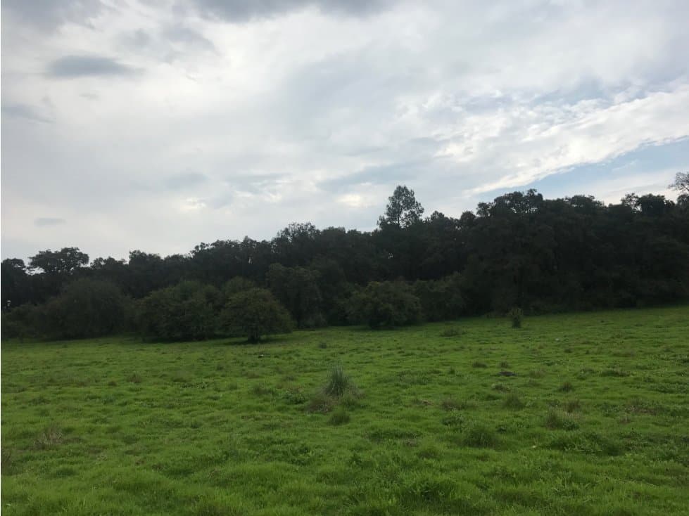 MAGNIFICO TERRENO EN VENTA — foto 3