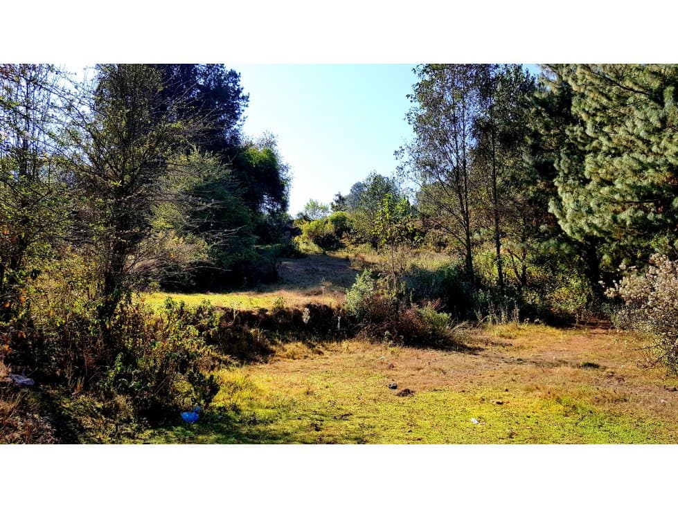 TERRENO A 3 MIN DE AUTOPISTA — foto 4