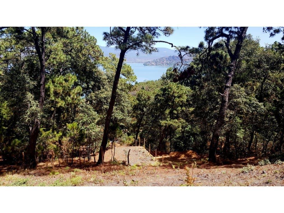 1000 m2 EN EL CERRILLO — foto 2