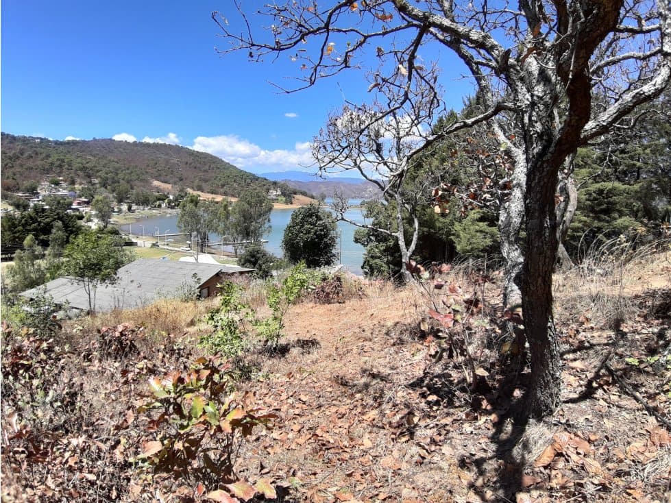TERRENO PARA PROYECTO EN EL CERRILLO — foto 3